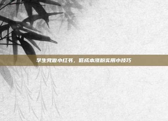 学生党做小红书，低成本涨粉实用小技巧