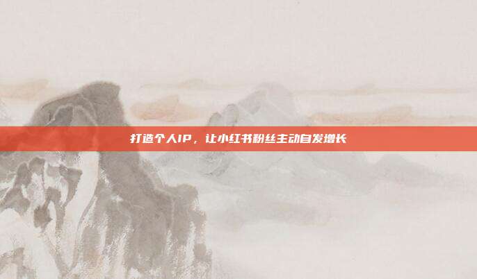 打造个人IP，让小红书粉丝主动自发增长