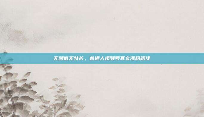无颜值无特长，普通人视频号真实涨粉路线