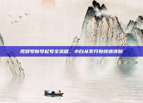 视频号新号起号全流程，小白从零开始快速涨粉