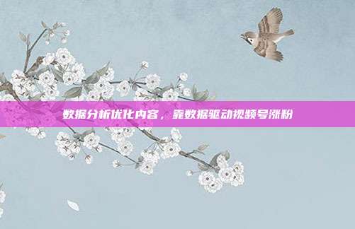 数据分析优化内容，靠数据驱动视频号涨粉