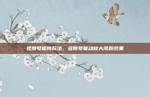 视频号矩阵玩法，多账号联动放大涨粉效果