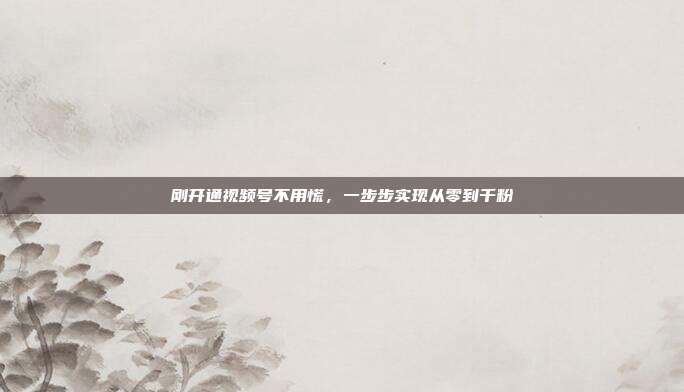 刚开通视频号不用慌,一步步实现从零到千粉