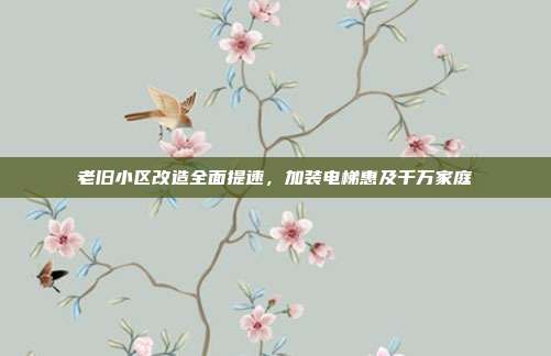 老旧小区改造全面提速，加装电梯惠及千万家庭