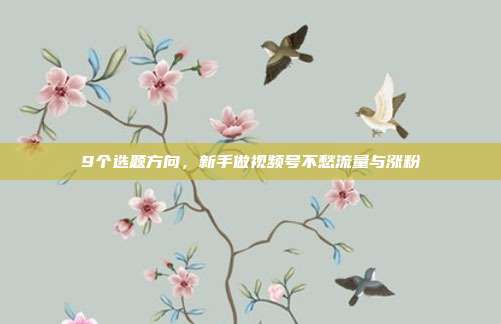 9个选题方向,新手做视频号不愁流量与涨粉