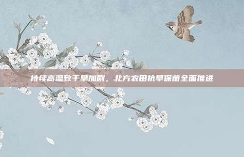 持续高温致干旱加剧,北方农田抗旱保苗全面推进
