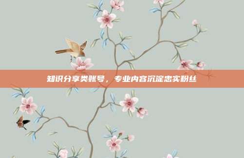 知识分享类账号，专业内容沉淀忠实粉丝
