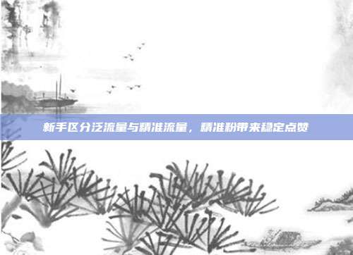 新手区分泛流量与精准流量，精准粉带来稳定点赞