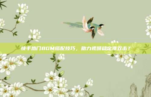快手热门BGM搭配技巧，助力视频稳定涨双击？