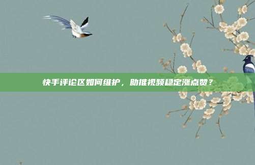 快手评论区如何维护，助推视频稳定涨点赞？