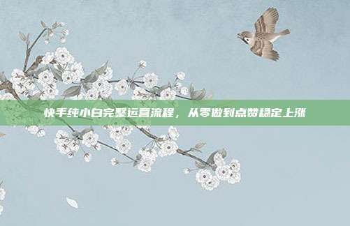 快手纯小白完整运营流程,从零做到点赞稳定上涨