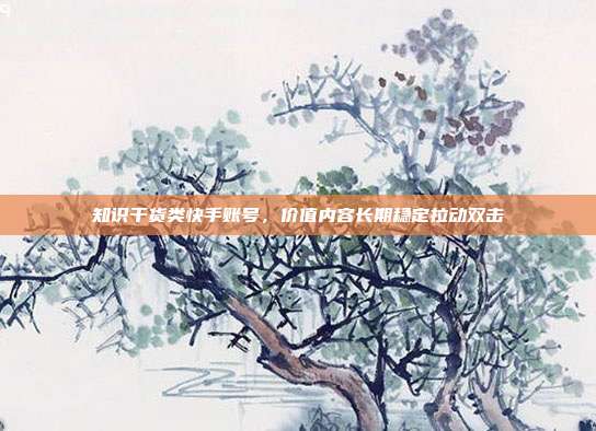 知识干货类快手账号,价值内容长期稳定拉动双击