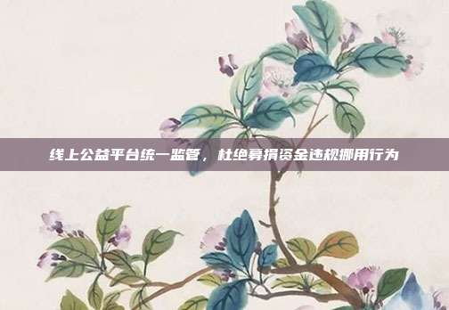 线上公益平台统一监管,杜绝募捐资金违规挪用行为