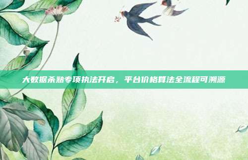大数据杀熟专项执法开启,平台价格算法全流程可溯源