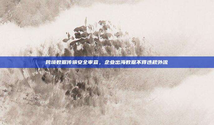 跨境数据传输安全审查，企业出海数据不得违规外流
