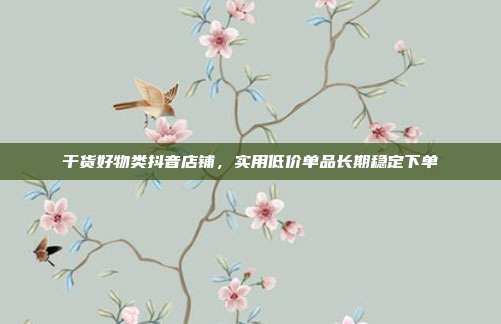 干货好物类抖音店铺,实用低价单品长期稳定下单