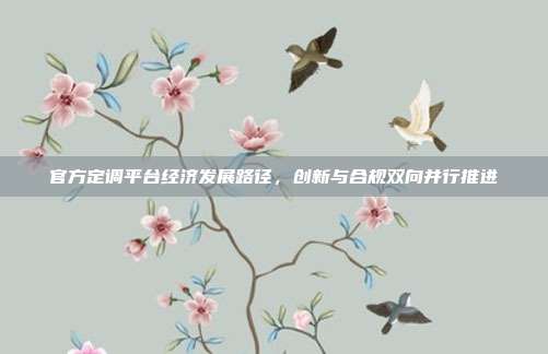 官方定调平台经济发展路径，创新与合规双向并行推进
