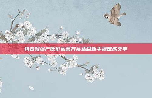 抖音轻资产低价运营方案适合新手稳定成交单