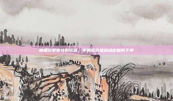 精细化老客社群运营,专属低价福利稳定复购下单
