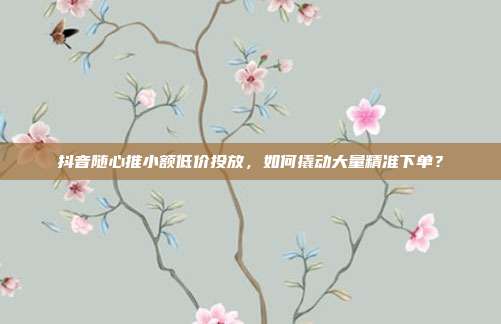 抖音随心推小额低价投放,如何撬动大量精准下单?