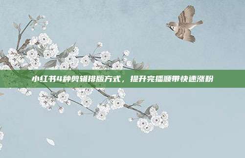 小红书4种剪辑排版方式,提升完播顺带快速涨粉