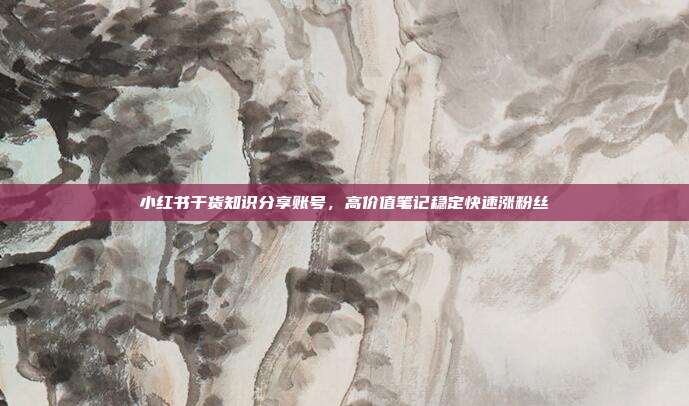 小红书干货知识分享账号,高价值笔记稳定快速涨粉丝