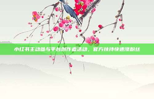 小红书主动参与平台创作者活动,官方扶持快速涨粉丝
