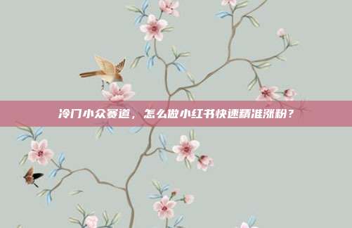 冷门小众赛道,怎么做小红书快速精准涨粉?