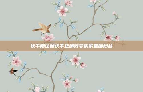 快手刚注册快手正确养号积累基础粉丝