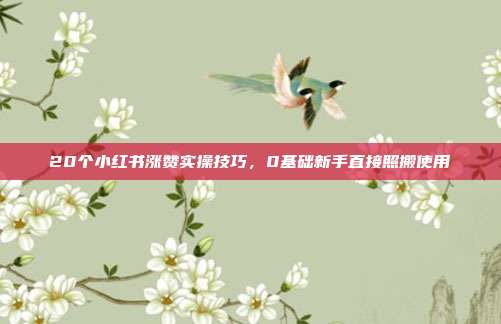 20个小红书涨赞实操技巧,0基础新手直接照搬使用