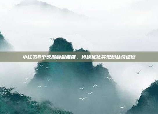 小红书6个数据复盘维度，持续优化实现粉丝快速涨