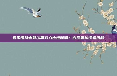 看不懂抖音算法再努力也难涨粉?底层吸粉逻辑拆解
