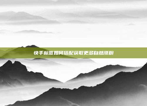 快手标签如何搭配获取更多自然涨粉