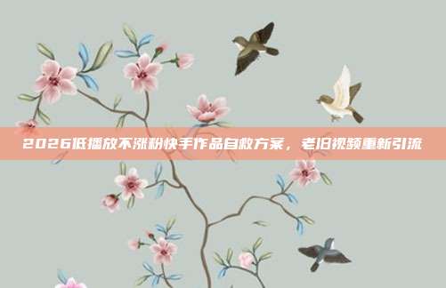 2026低播放不涨粉快手作品自救方案，老旧视频重新引流
