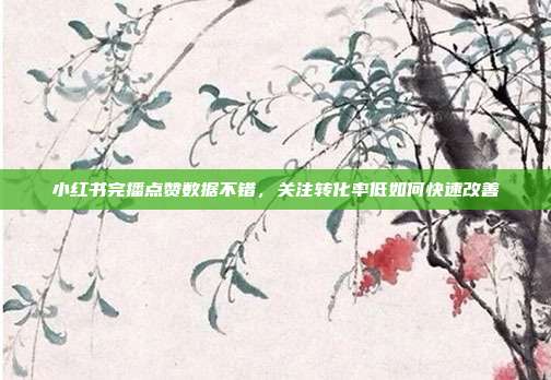 小红书完播点赞数据不错，关注转化率低如何快速改善