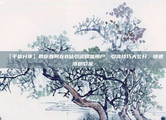 【干货分享】教你如何在B站引流精准用户,引流技巧大公开,快速涨粉引流