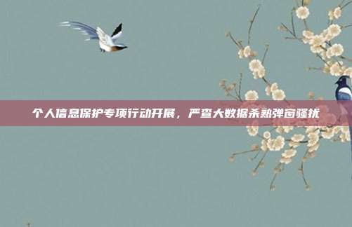 个人信息保护专项行动开展,严查大数据杀熟弹窗骚扰