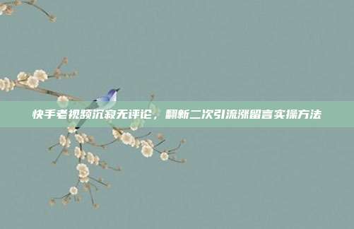 快手老视频沉寂无评论,翻新二次引流涨留言实操方法
