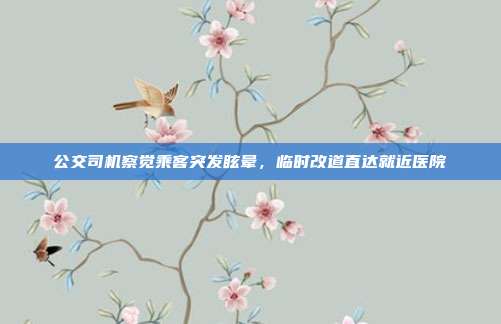 公交司机察觉乘客突发眩晕，临时改道直达就近医院