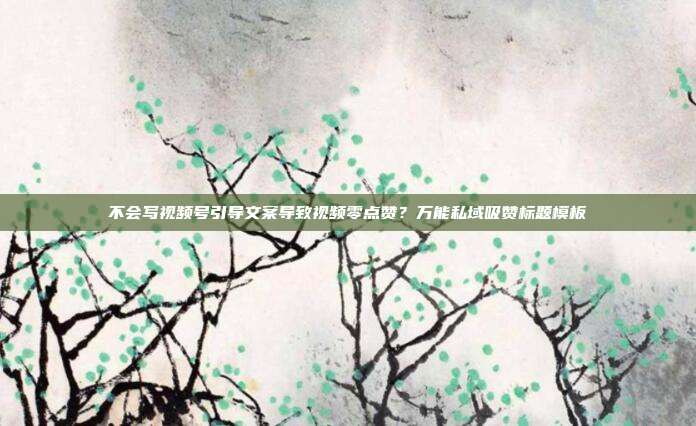 不会写视频号引导文案导致视频零点赞？万能私域吸赞标题模板
