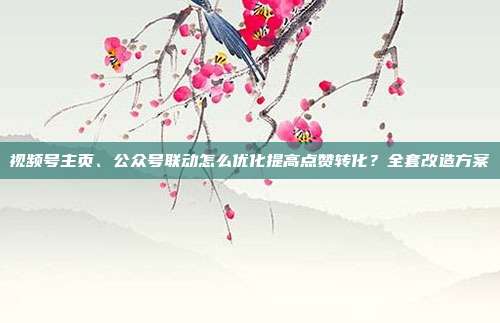视频号主页、公众号联动怎么优化提高点赞转化？全套改造方案