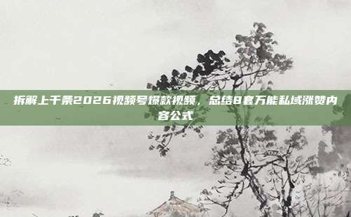 拆解上千条2026视频号爆款视频，总结8套万能私域涨赞内容公式