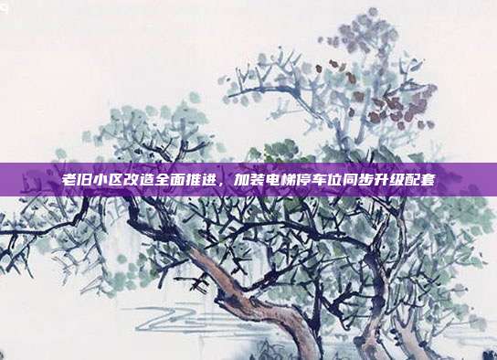 老旧小区改造全面推进，加装电梯停车位同步升级配套