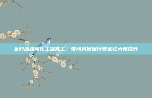 乡村道路亮化工程完工，夜间村民出行安全性大幅提升