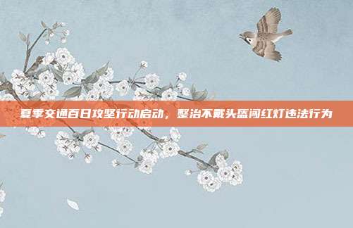 夏季交通百日攻坚行动启动，整治不戴头盔闯红灯违法行为