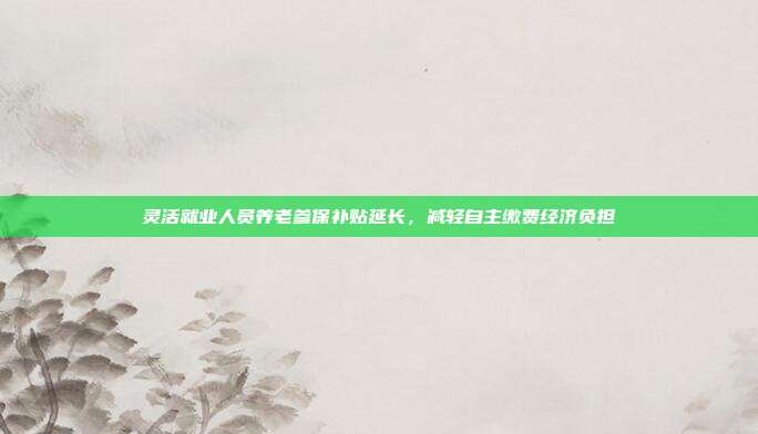 灵活就业人员养老参保补贴延长,减轻自主缴费经济负担