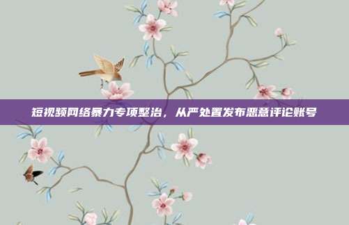 短视频网络暴力专项整治,从严处置发布恶意评论账号