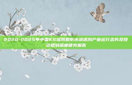 2020-2025年中国KS溶剂型防水渗透剂产业运行态势及投资规划深度研究报告