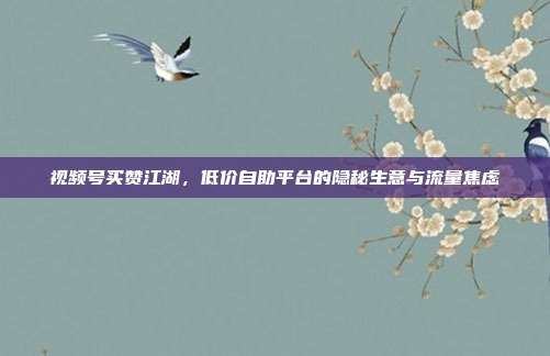 视频号买赞江湖,低价自助平台的隐秘生意与流量焦虑