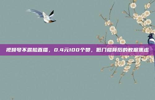 视频号不露脸直播,0.4元100个赞,低门槛背后的数据焦虑